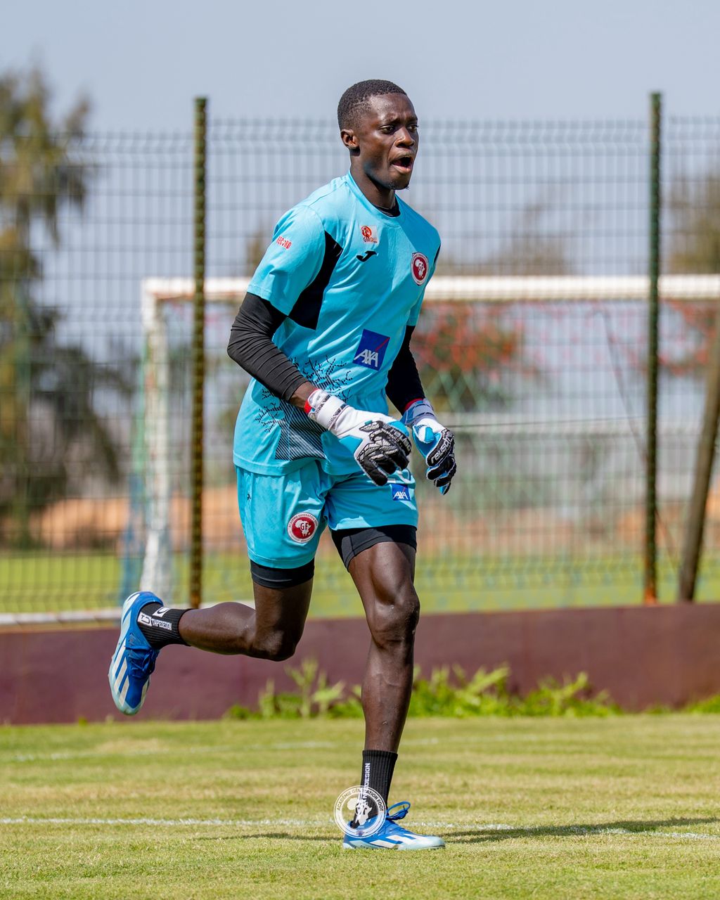 Cheikh GUEYE